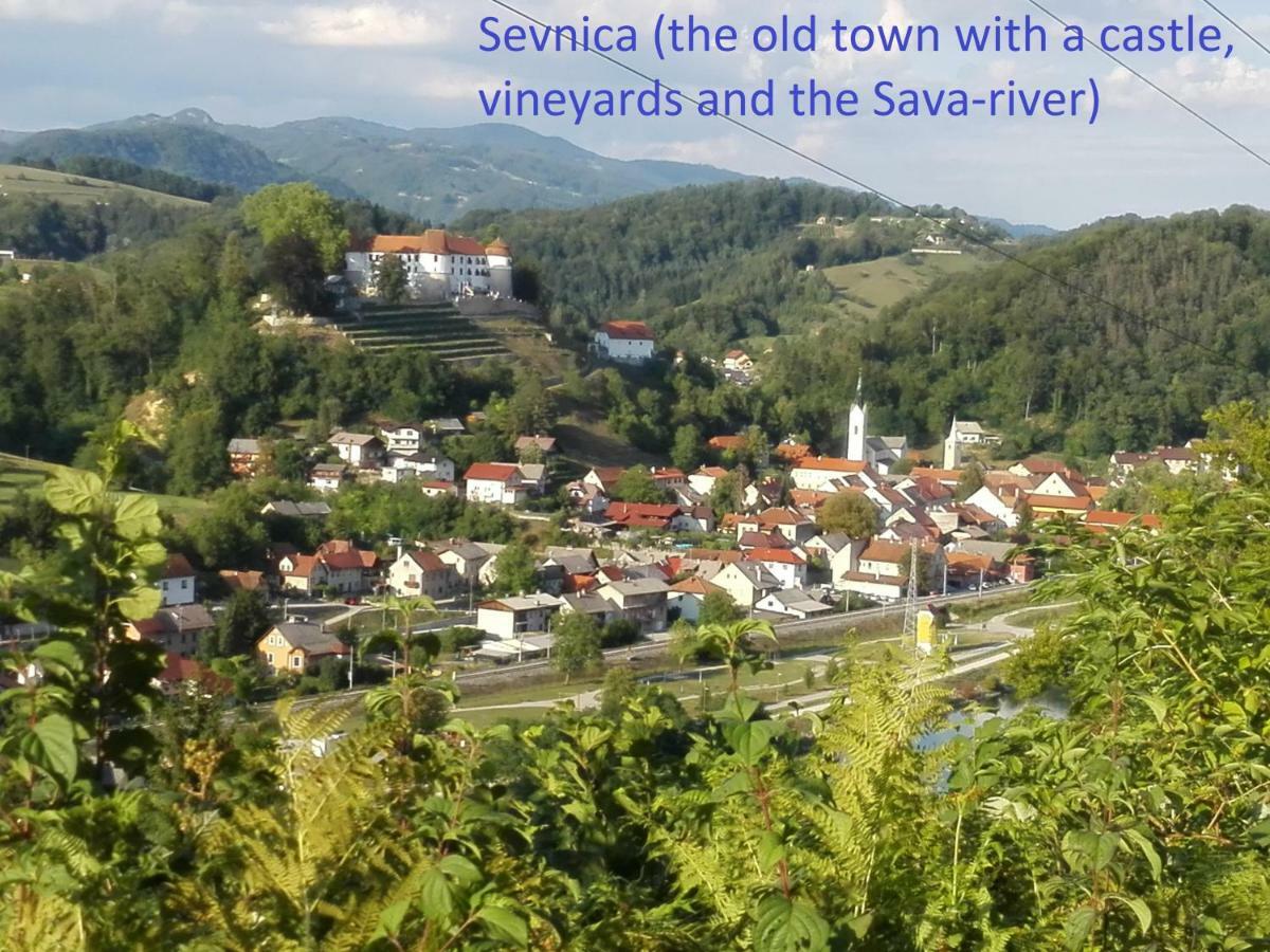 הוילה Sevnica Getaway "At The Three Lights" מראה חיצוני תמונה