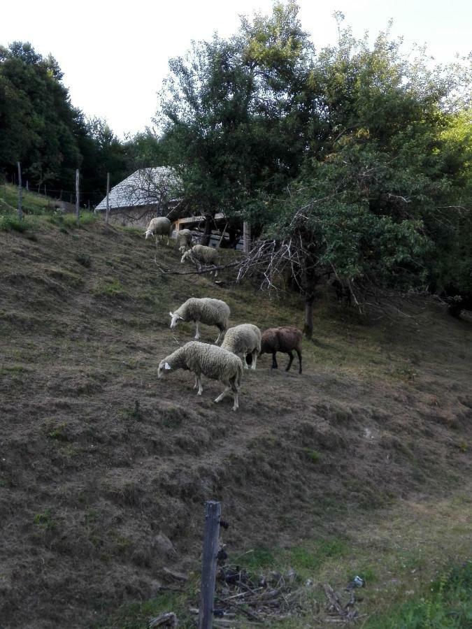 הוילה Sevnica Getaway "At The Three Lights" מראה חיצוני תמונה